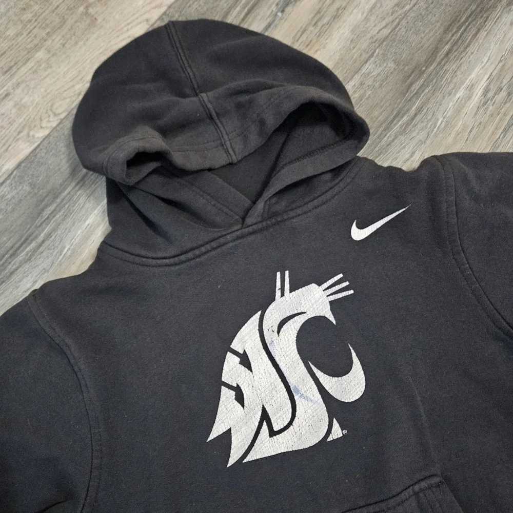 Kids Washington State Sweatshirt Hoodie